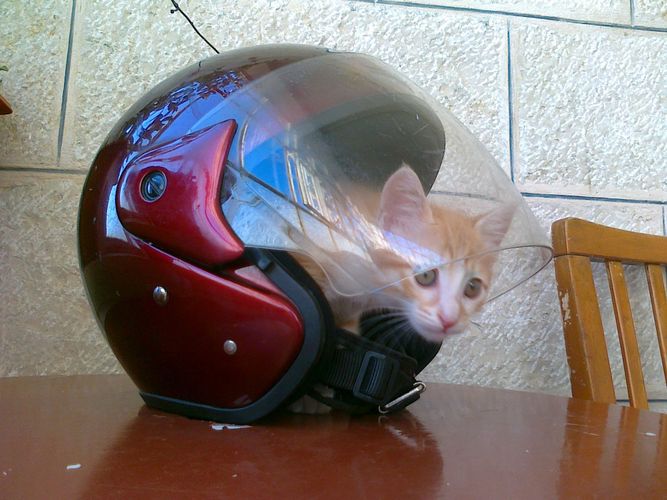 cat equipment apparel