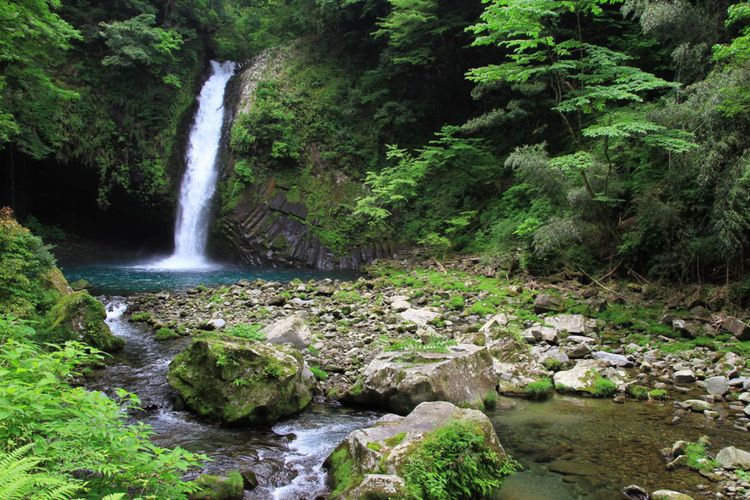 Tanaka waterfall