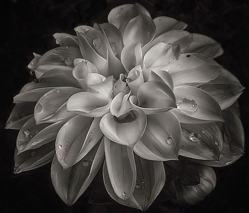 Black And White Photography Tips The 5 Cornerstones Of All Great Monochrome Photos