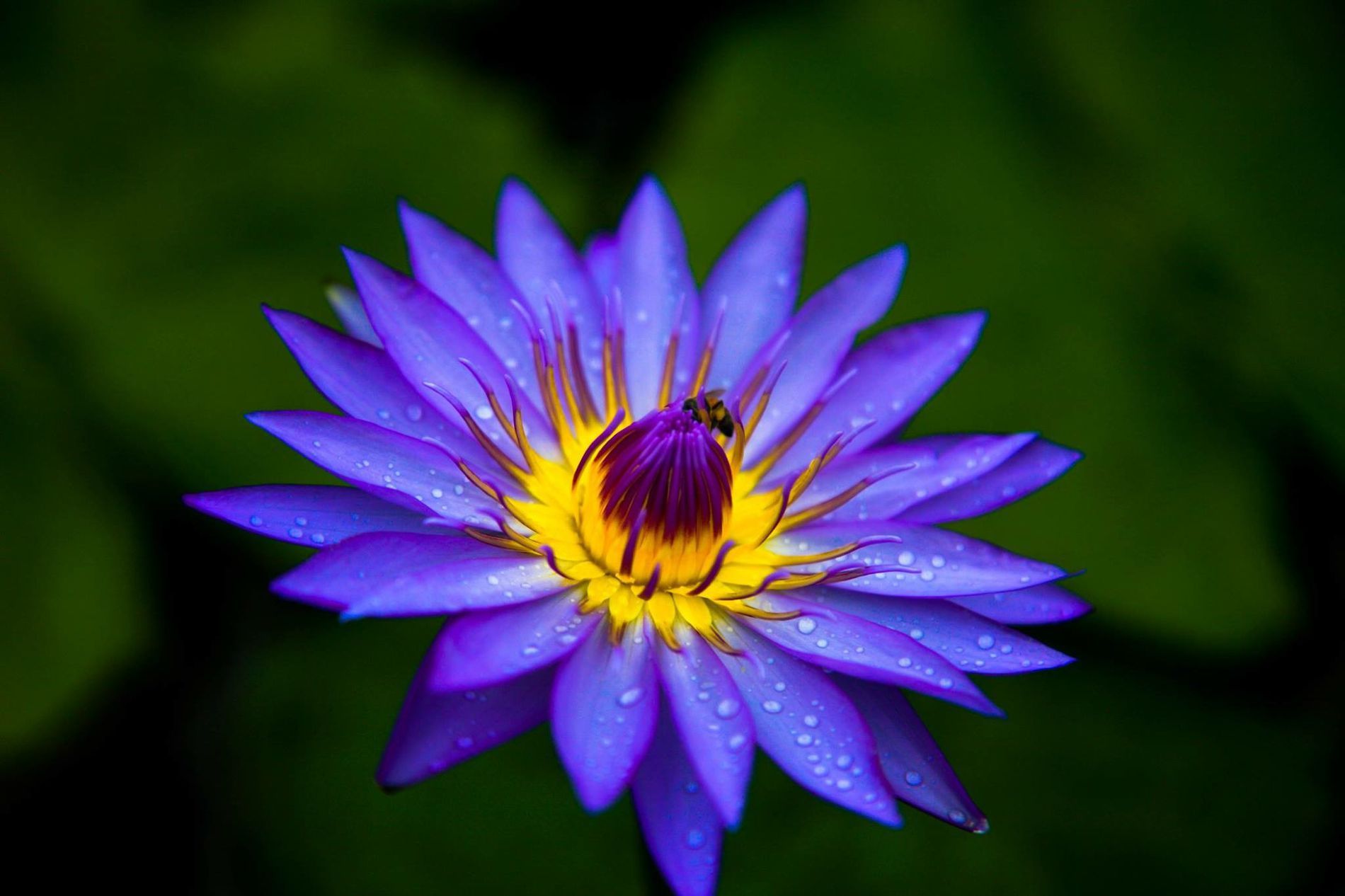 Photo by Michael Ashton