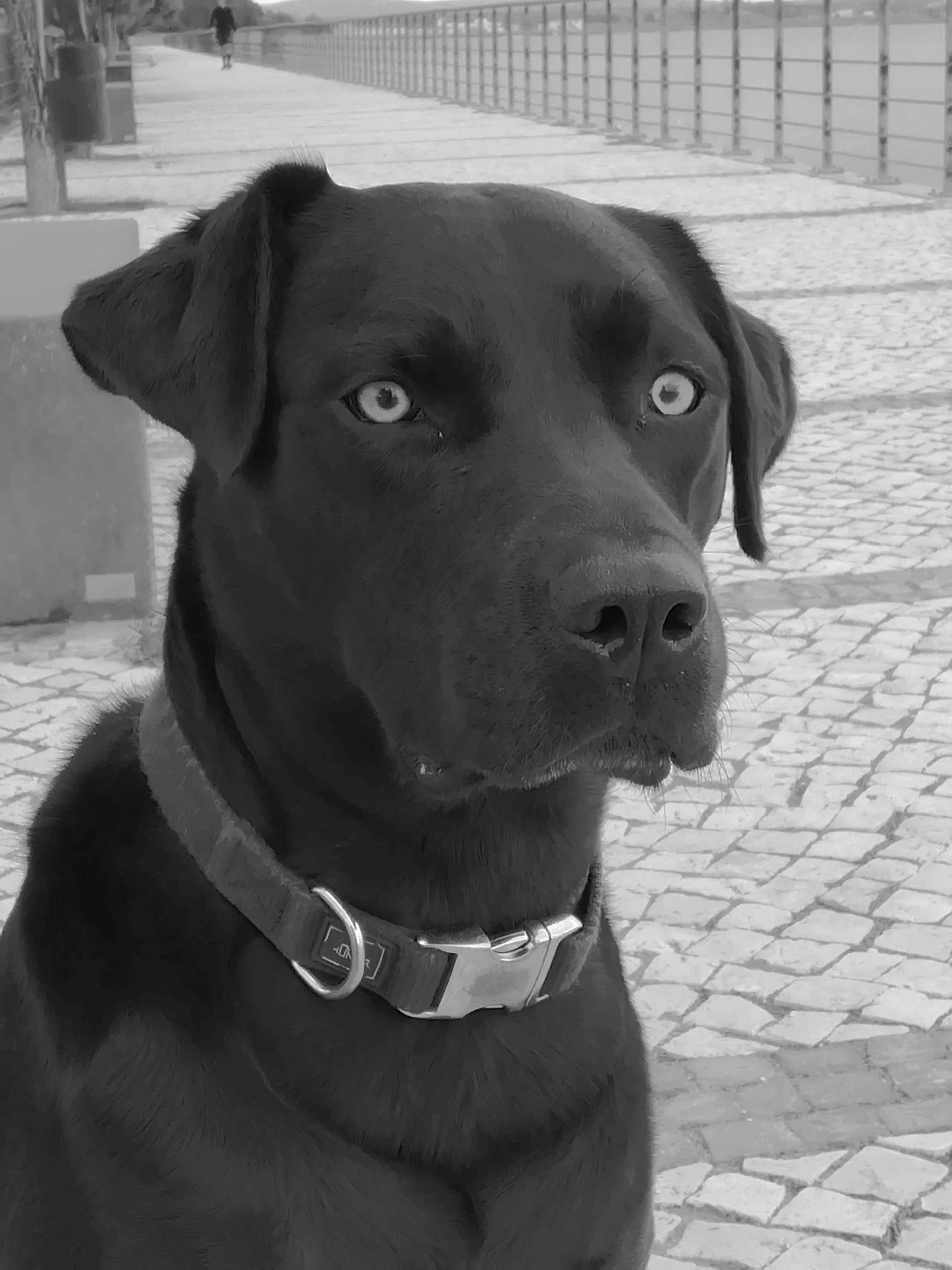 Gurushots Com Photo 18 08 19t19 32 45 00 00 Weekly 0 6 Photos Gurushots Com Unsafe 0x0 7644ef4d17cbd01af60d990 3 cdbb3cc79f8b8f85 Jpg Human People Person Leisure Activities Water Human By