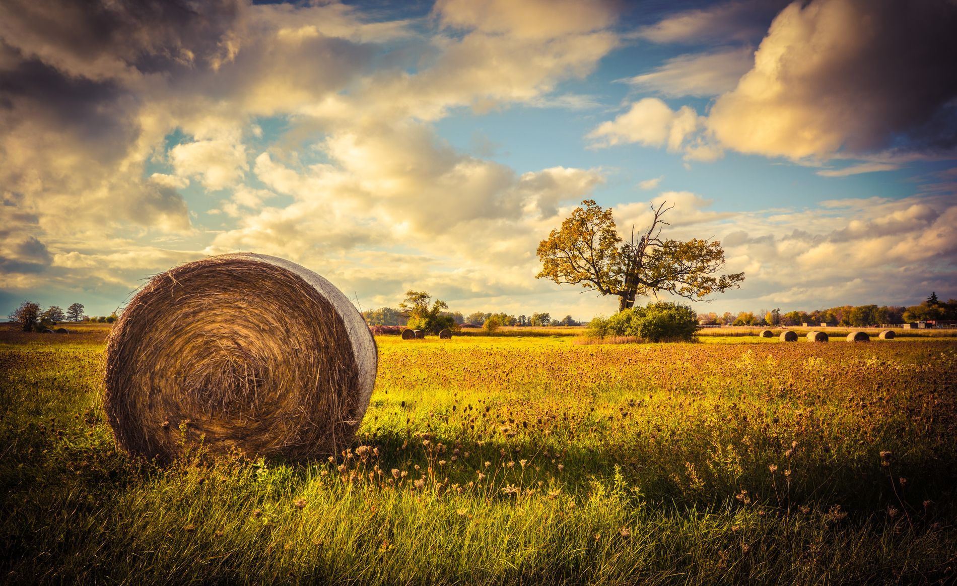 rural-ontario-by-karl-anderson