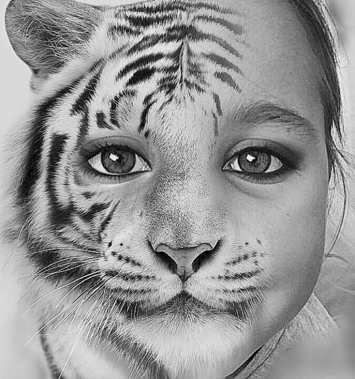 Half Tiger Half Girly By Cadias