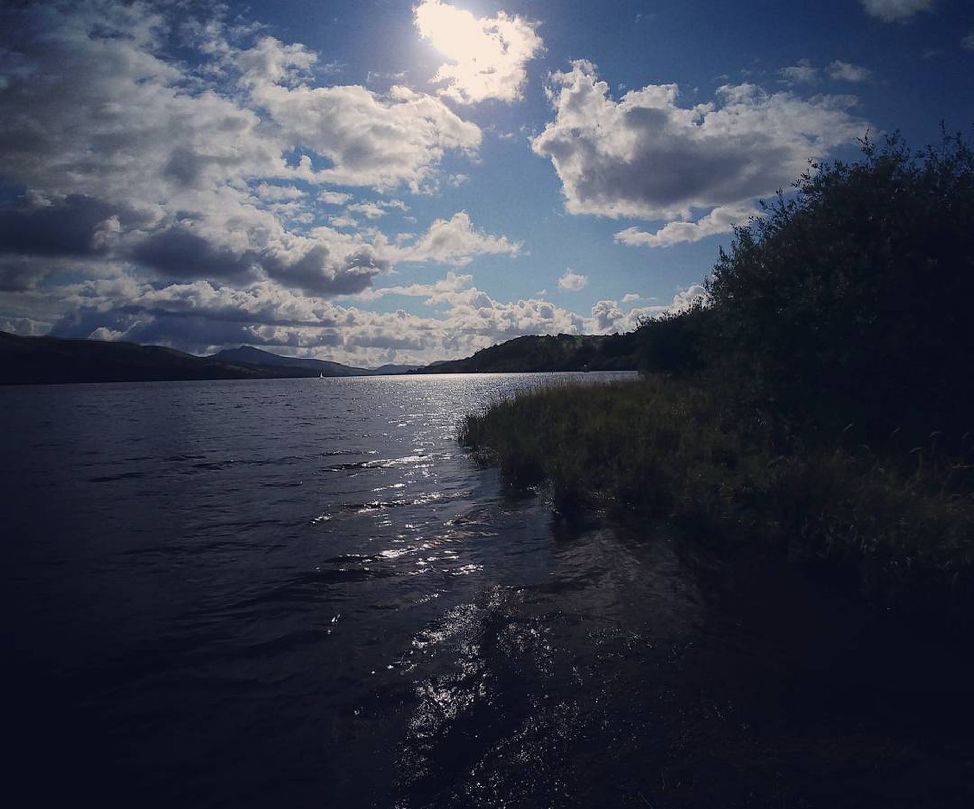 Photo By Paul Stuckey Son of father unknown and mother unknown. gurushots