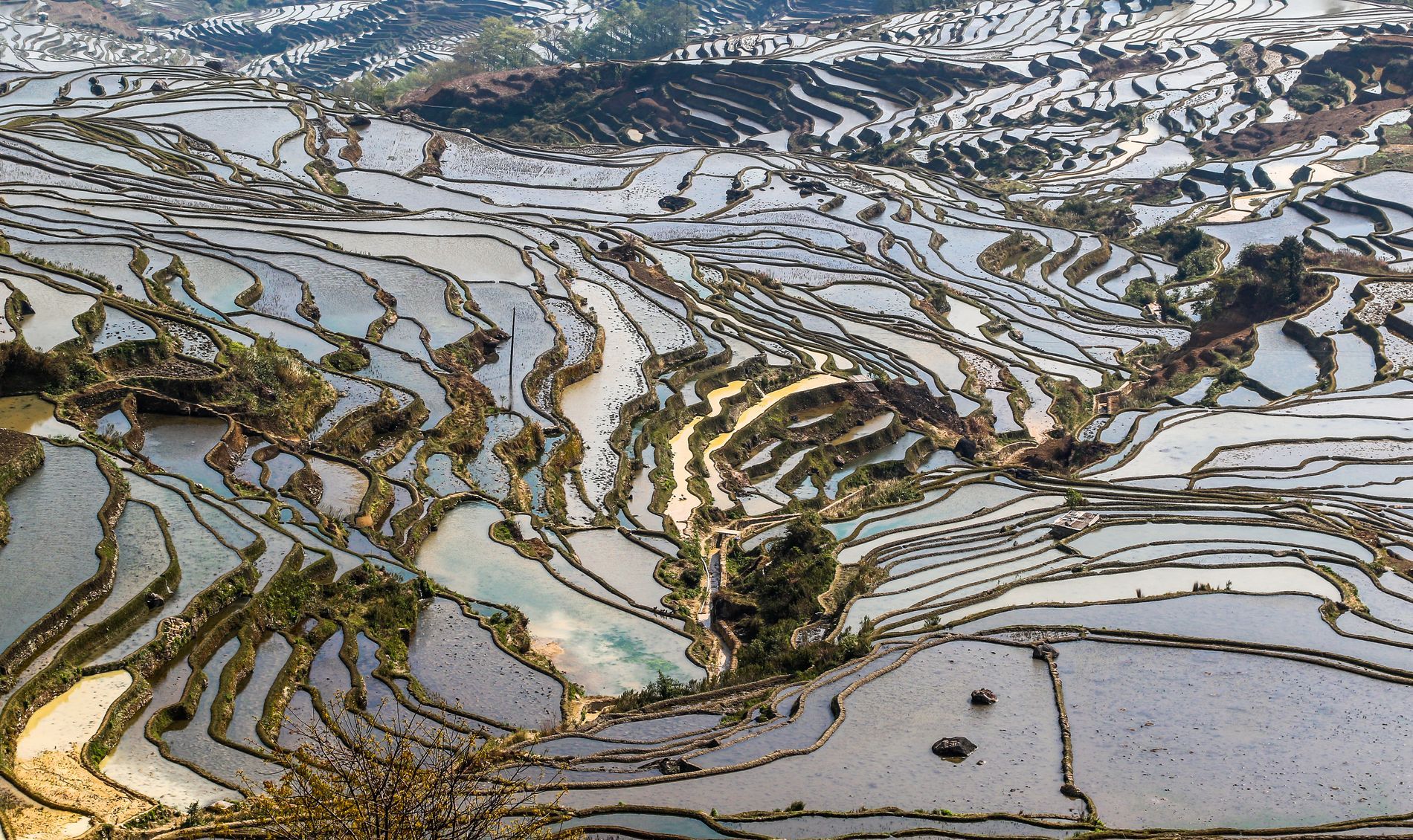 Winter time at the rice terraces of Yuanyang -China by Thomas Curfs