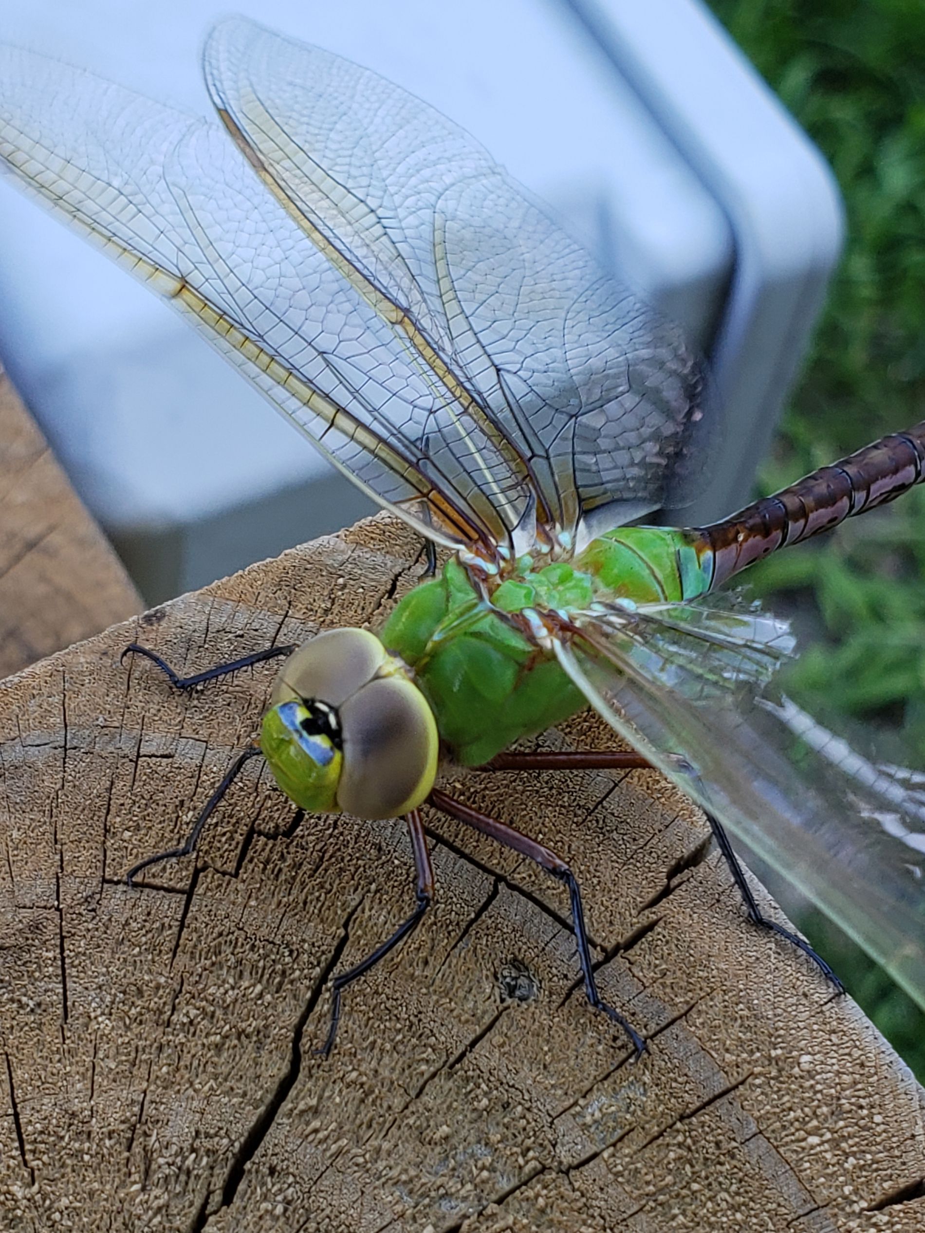 Https Gurushots Photo 2019 01 06t10 56 27 00 Weekly Https Gurushots Photo 2019 01