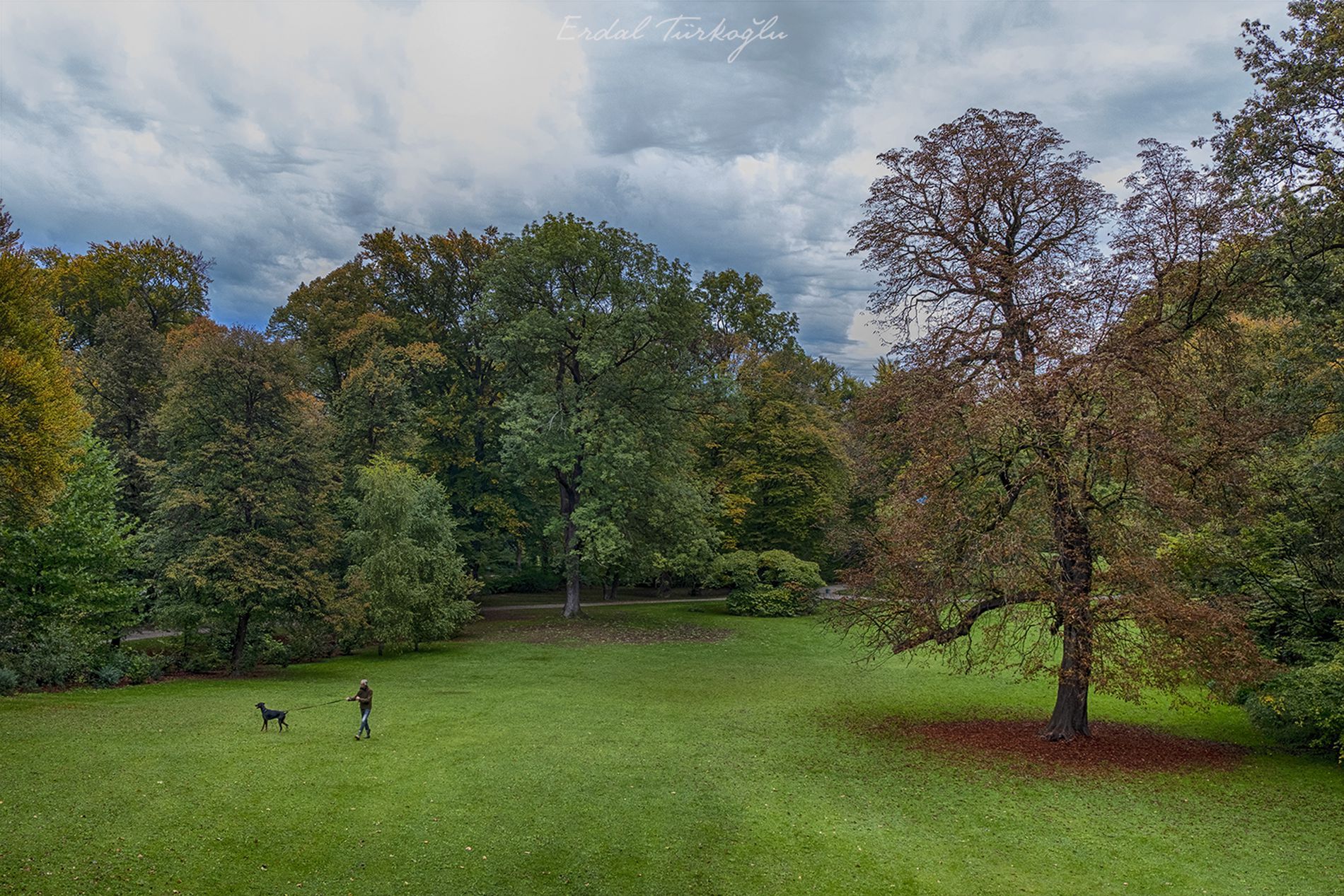 Englischer Garten Munchen By Erdal Turkoglu