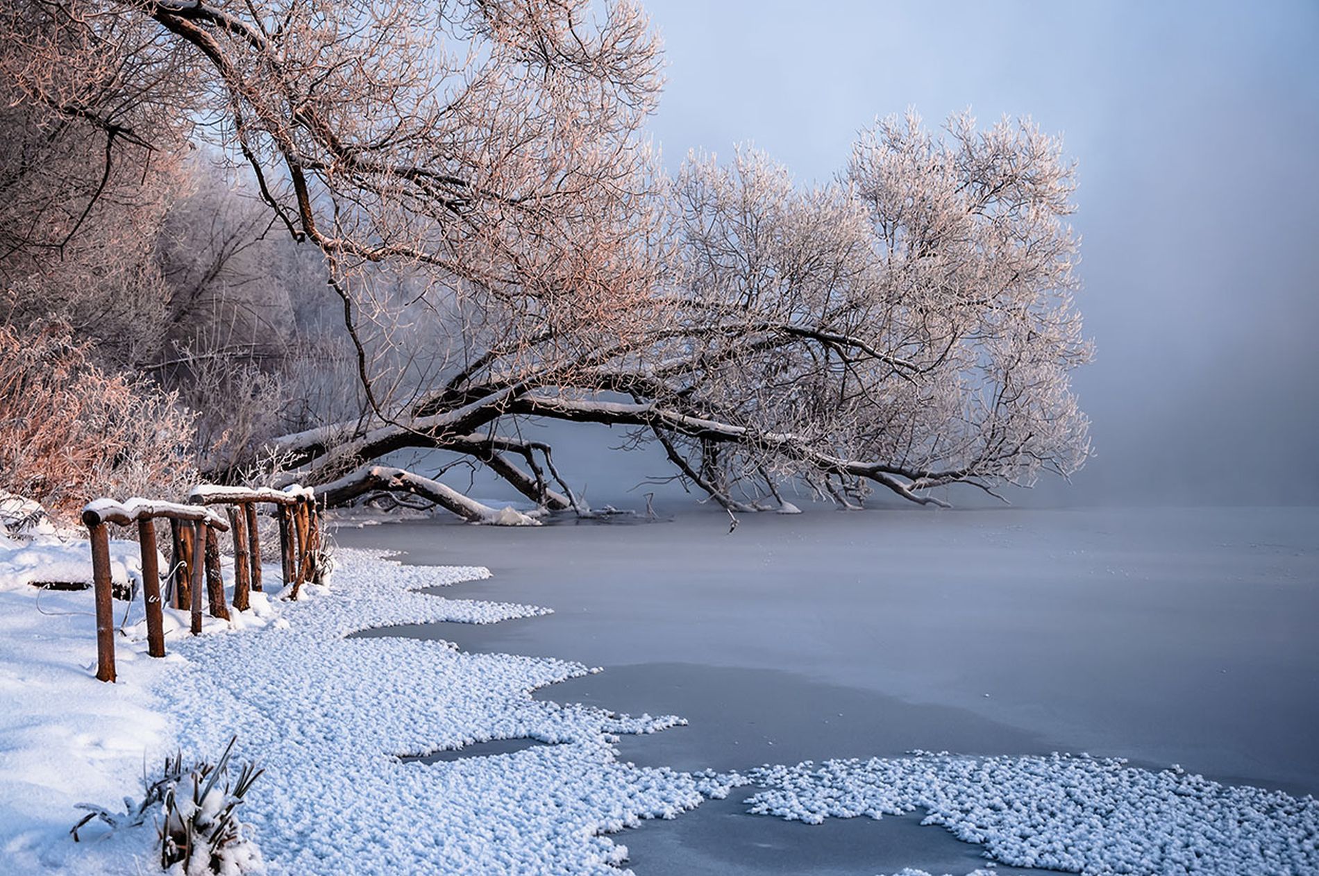 Январь. Январский пейзаж. Январь природа. Зима январь. Январский зимний пейзаж.