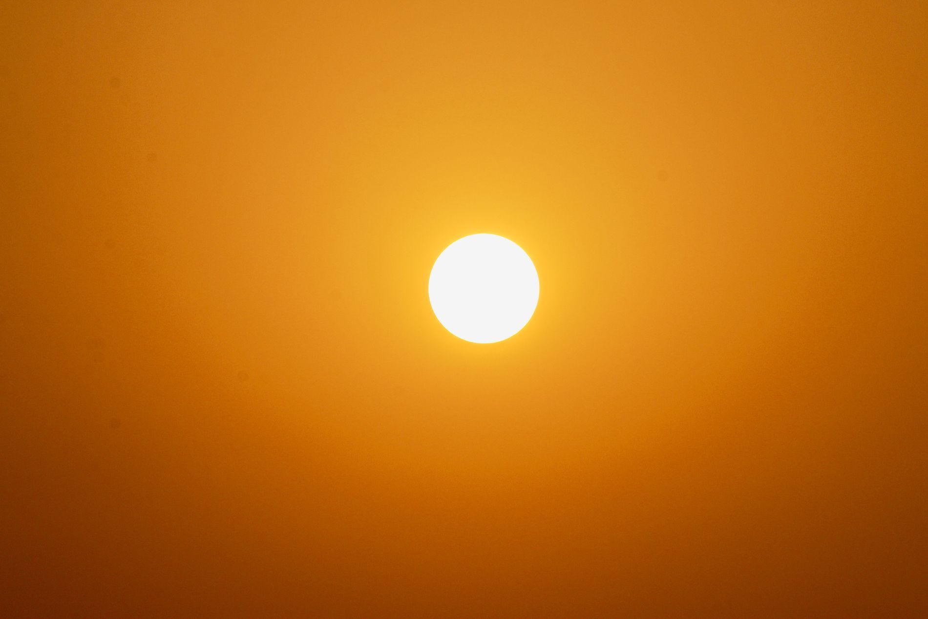 Здесь под желтым солнцем ламп. Градиент желтый солнце. Половина желтого солнца. Градиент от оранжевого к зеленому солнце. Экватор оранжево желтое солнце.