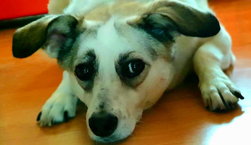 Marcin Klimczak Gurushots