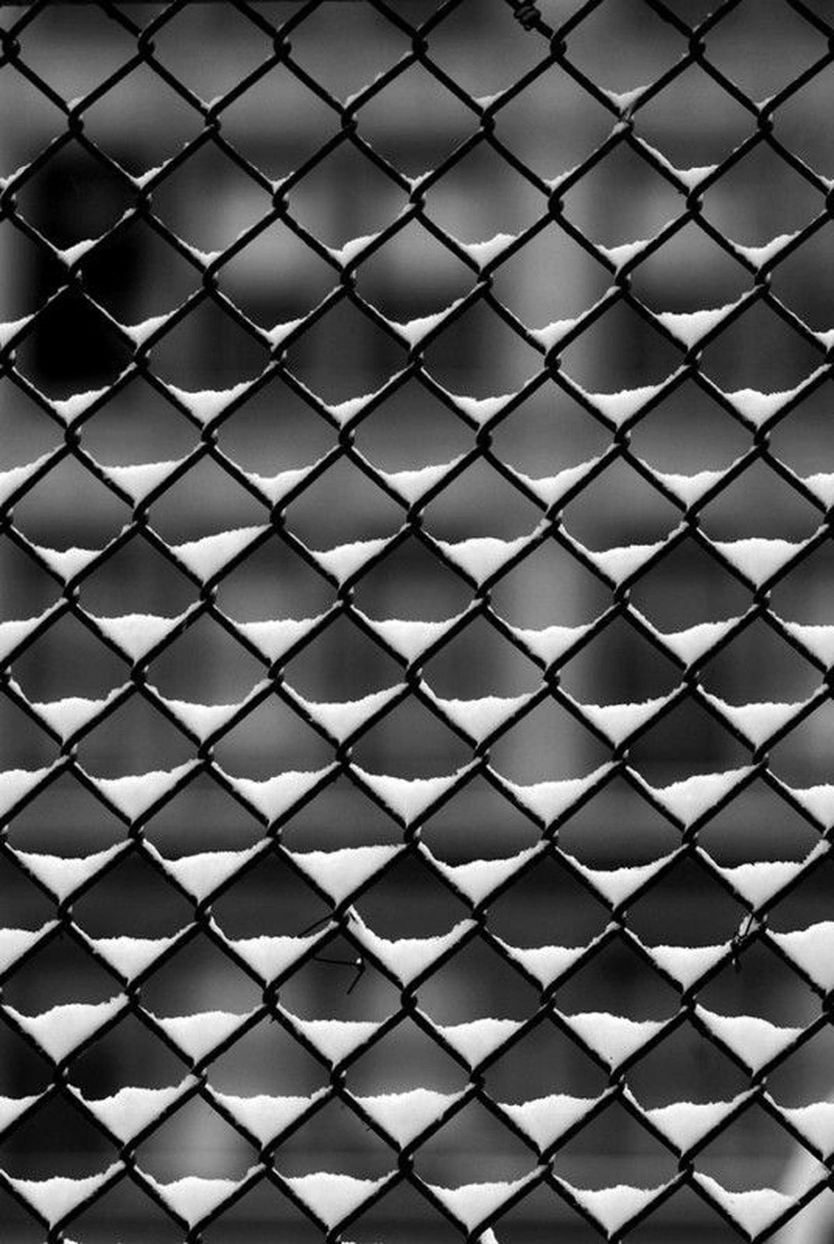 pattern photography