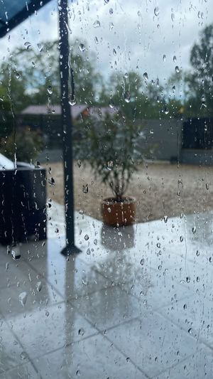 Raindrops on the Pane