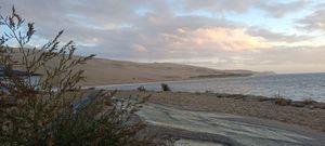 Dune and Sea, Soft Light
