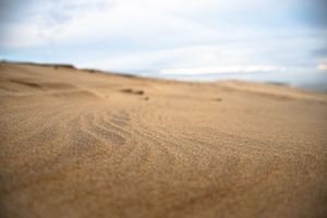 Dune – Focus Variation