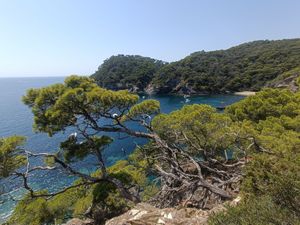 Cove of Green & Blue