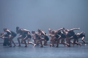 Synchronized Shadow Dance