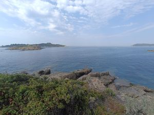 Tiny Fisher on the Point