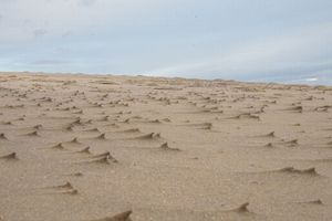 Dune – Repeating Crests