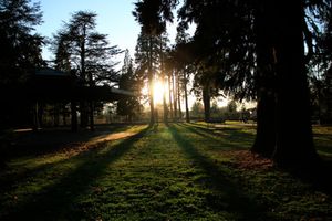 Park at Sunset – Long Shadows