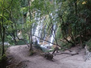 Forest Curtain Falls