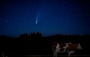 Comet over Pasture