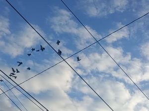 Crossed Flight – Wires & Clouds