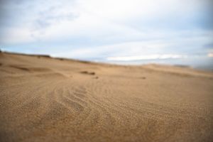 Dune – Sand Texture at Ground Level
