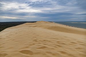 Ridge of the Dune