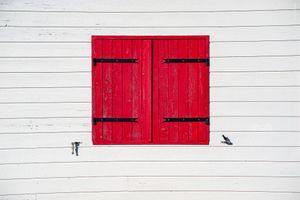Red Shutters on White Boards