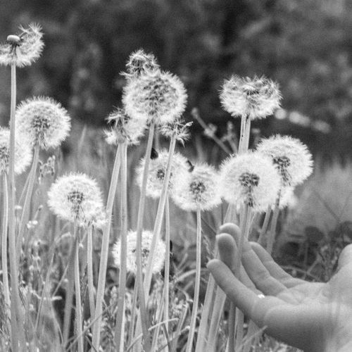 Noni Niko BGS More than a Team