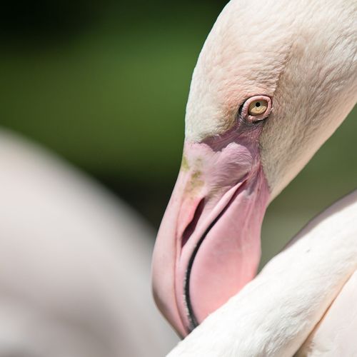 BibienFoto - Ľubomíra Ištoňová