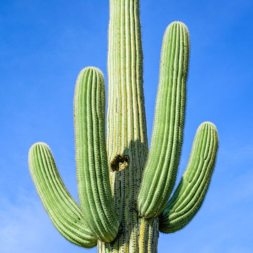 asphotosouthwest