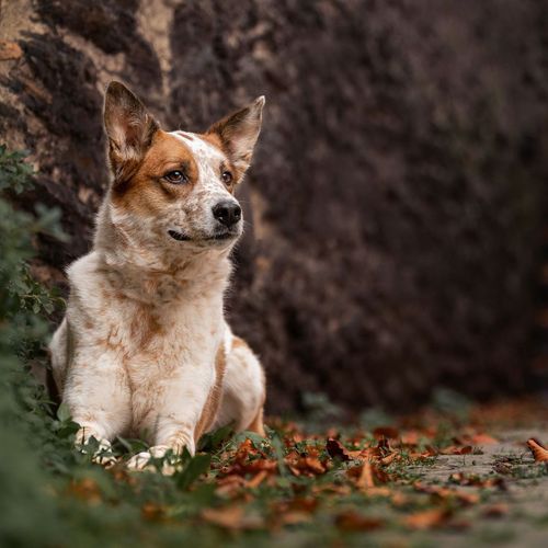 VeravanLierPhotography