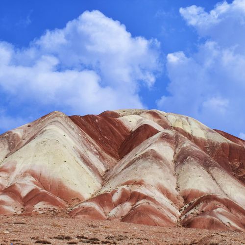 ناصر عبدل زاده