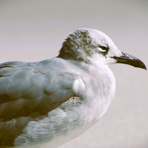 SHARE A PICTURE CLUB