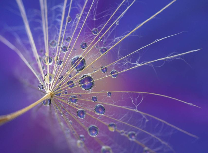 26 Irresistible Examples of EyeCandy for the Creative Soul