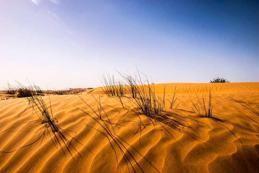 33 Eye-popping, Wind-whipped, Gorgeous Photos Of Shifting Sands Worldwide