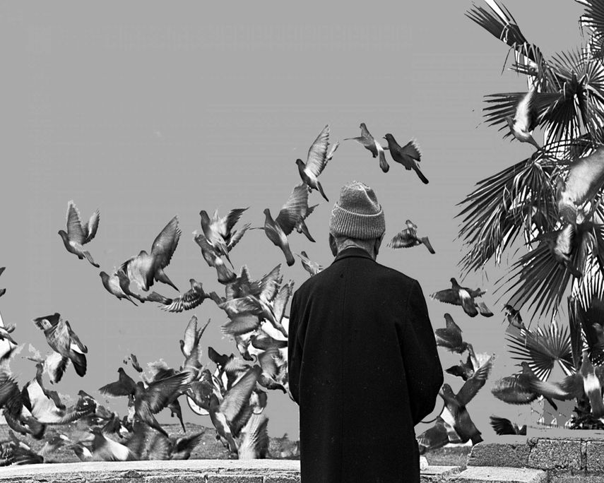 28 Examples of Juxtaposition in Photography That Will Test Your Mind