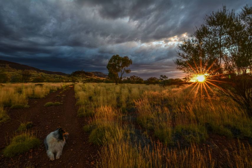 26 Irresistible Examples of EyeCandy for the Creative Soul