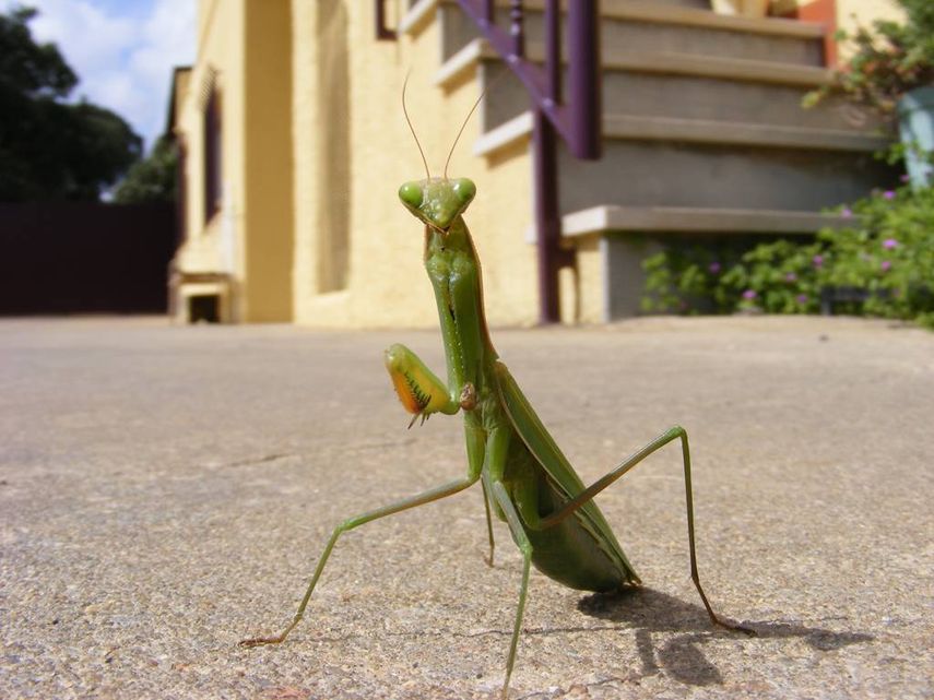 26 Irresistible Examples of EyeCandy for the Creative Soul