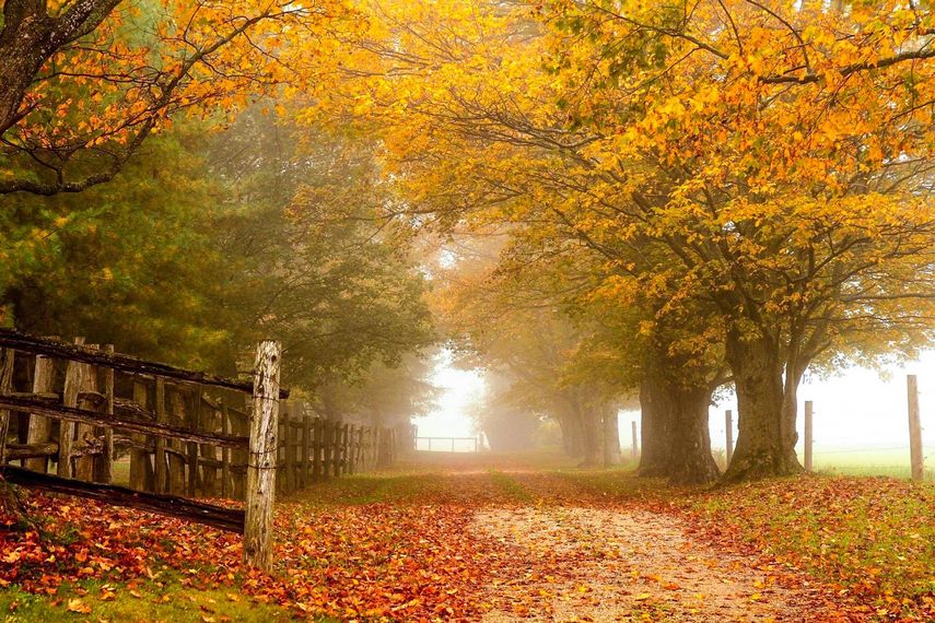 35 Photos That Will Make You Happy Autumn Is Here