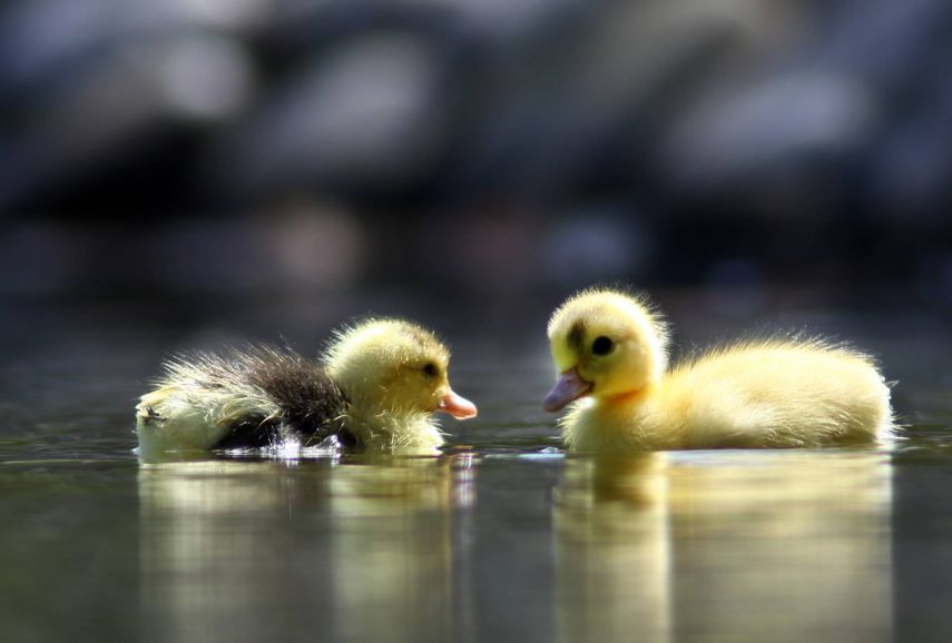 33 Of The Very Best Photos of 